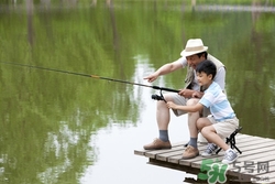 臭豆腐可以釣魚(yú)嗎?用臭豆腐怎么釣魚(yú)