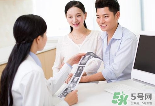 懷孕幾個月可以看出胎兒男女性別?