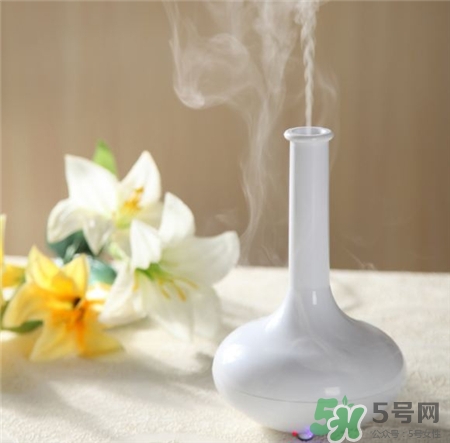 孕婦可以用加濕器嗎?加濕器對孕婦有影響嗎?