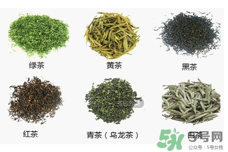 吃完飯能馬上喝茶嗎？飯前喝茶好還是飯后喝茶好？