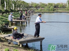 開(kāi)春釣魚(yú)用什么餌料?開(kāi)春釣什么魚(yú)好?