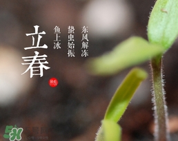 立春吃什么蔬菜？立春時(shí)令蔬菜推薦