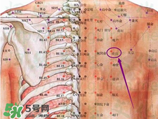 膏肓的準(zhǔn)確位置圖 膏肓穴痛跟什么有關(guān)