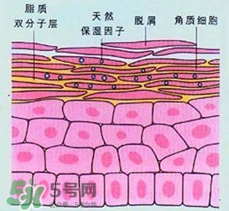 敷面膜真的有效嗎？敷面膜真的有用嗎？