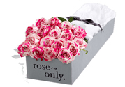 roseonly是什么花？roseonly是真花還是假花？