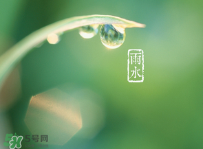 雨水吃什么？雨水節(jié)氣飲食禁忌？