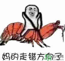 說人皮皮蝦是什么意思？女生叫男生皮皮蝦什么意思？