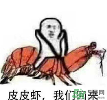 說人皮皮蝦是什么意思？女生叫男生皮皮蝦什么意思？