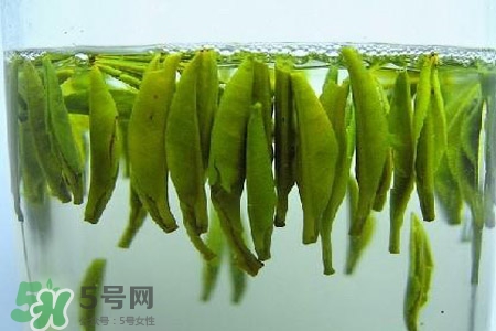 紫砂壺可以泡什么茶？紫砂壺喝什么茶好？