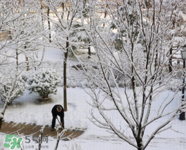 春天下雪意味著什么？春天為什么會下雪？