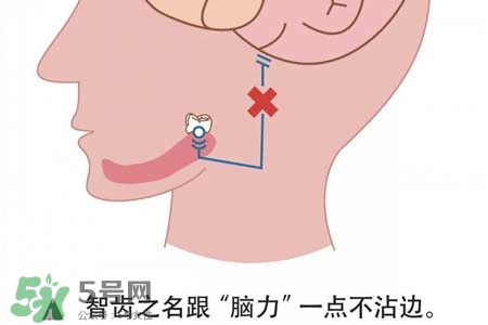 智齒會(huì)引起耳鳴嗎？耳鳴跟智齒有關(guān)系嗎？