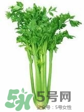 負(fù)卡路里的食物有哪些？負(fù)卡路里食物真的吃不胖嗎？