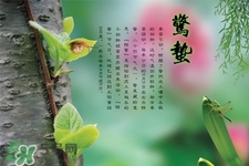 驚蟄吃什么蔬菜好？驚蟄節(jié)氣養(yǎng)生吃什么蔬菜？