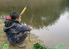 驚蟄能釣魚嗎？驚蟄釣什么魚好？