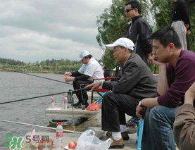 驚蟄過后好釣魚嗎？驚蟄后陰雨天好釣魚嗎？