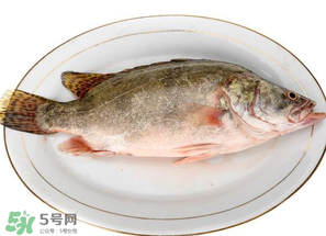 三月份吃什么魚？3月份吃什么魚好？