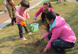 植樹節(jié)一般種什么樹？植樹節(jié)種什么樹比較好？