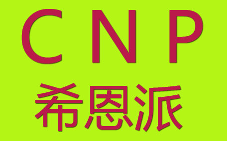 cnp希恩派