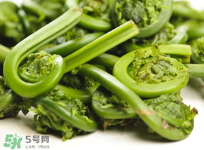 蕨菜怎么洗？蕨菜怎么清洗才干凈？