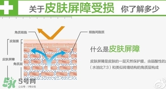 玉澤和至本哪個(gè)好？玉澤和至本區(qū)別對(duì)比