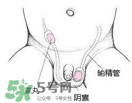 寶寶氙氣怎么辦 寶寶氙氣護理方法