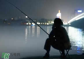 春分能夜釣嗎？春分能釣鯉魚嗎？