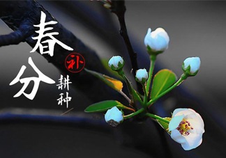 春分吃春菜有什么好處？春菜有什么營養(yǎng)價(jià)值？