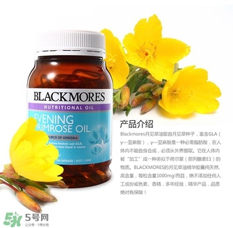 blackmores見月草的功效如何 blackmores見月草的作用如何