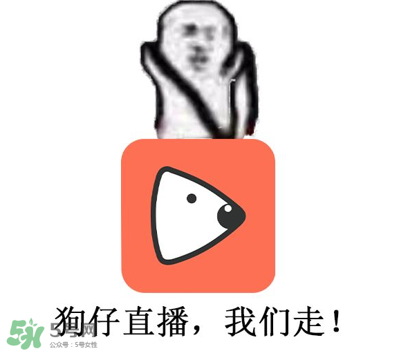 黃鱔為什么火了？黃鱔我們走為什么火了？