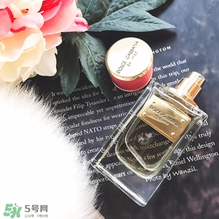 dolce gabanna香水哪款好聞？DG杜嘉班納香水推薦