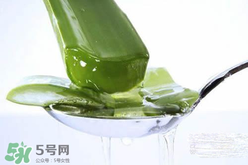 黃瓜水和蘆薈水哪個好？黃瓜水和蘆薈水功效區(qū)別