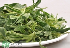 面條菜是發(fā)物嗎?面條菜孕婦可以吃嗎?