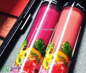 mac2017夏季fruity juicy系列有哪些？