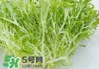 苦菊能和羊肉一起吃嗎？苦菊可以和羊肉一起吃嗎