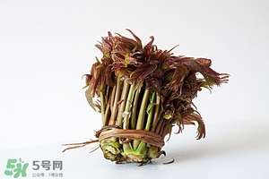 香椿樹什么時候發(fā)芽？香椿樹什么時候種植