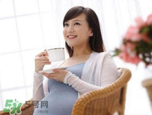 決明子泡水孕婦能喝嗎？孕婦能喝決明子泡水嗎？