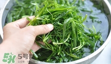 掃帚菜怎么做好吃？掃帚菜怎么吃好吃