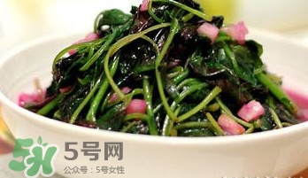 莧菜怎么吃？莧菜怎么炒