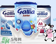 gallia佳利雅是什么品牌？gallia佳利雅奶粉是哪個(gè)國(guó)家的品牌？