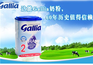 gallia佳利雅奶粉在法國(guó)的價(jià)格 gallia佳利雅奶粉在法國(guó)的售價(jià)