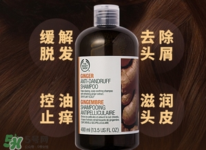 美體小鋪生姜洗發(fā)水怎么樣？the body shop生姜洗發(fā)水使用心得