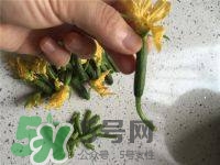 黃瓜花能吃嗎？黃瓜花怎么吃