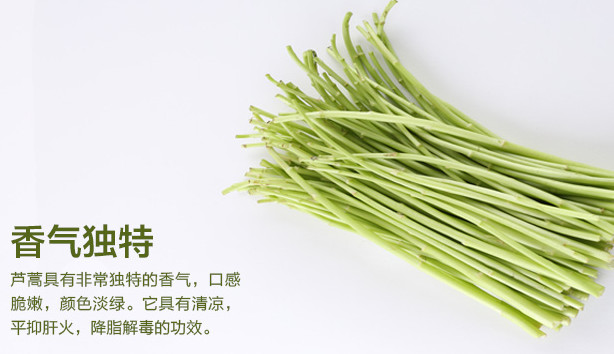 蘆蒿是發(fā)物嗎？蘆蒿是不是發(fā)物