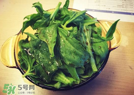 吃冰菜有什么好處？冰菜吃了有什么好處？