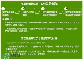 貴妃芒果硬的能吃嗎？貴妃芒果青的能吃嗎