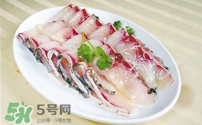 生魚是什么魚？生魚片是什么魚