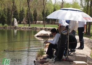 立夏好釣魚嗎？立夏怎么釣魚？