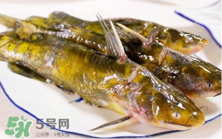 嘎魚(yú)怎么做最好吃？嘎魚(yú)的做法大全