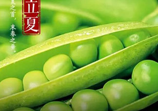 立夏吃什么好？立夏吃什么蔬菜？