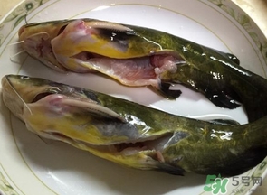 嘎魚(yú)是鯰魚(yú)嗎？嘎魚(yú)是黃辣丁嗎